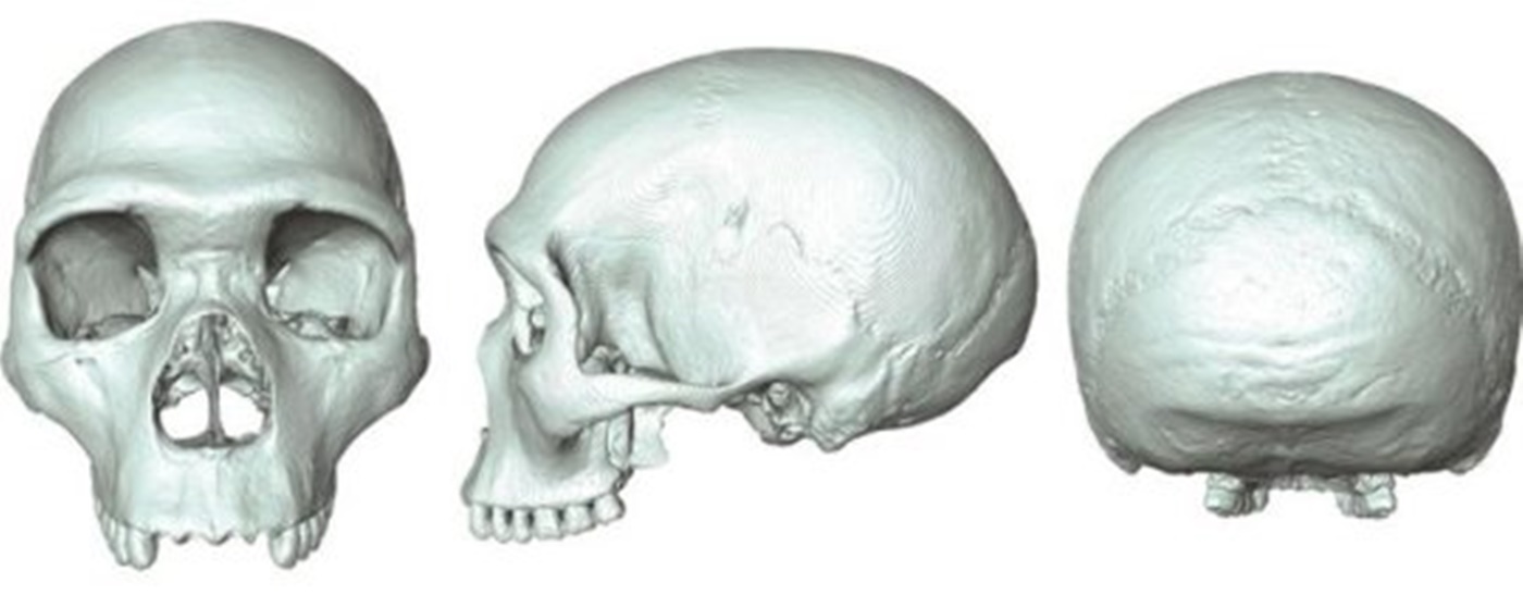 Homo Sapiens ve Neanderthal’in son ortak atası
