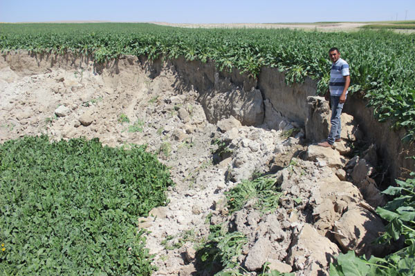 Konya'da tarla çöküntüleri: Tarım işçileri tedirgin
