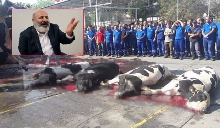 AKP'li patronun fabrikasında iş cinayetinden sonra toplu kurban kesildi!