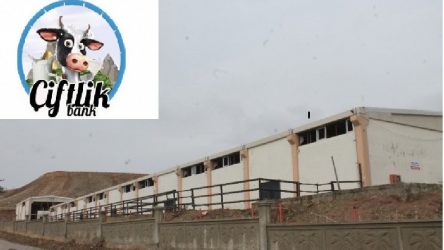 Diyarbakır Silvan'da ikinci Çiftlik Bank vurgunu
