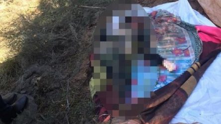 Arnavutköy'de battaniyeye sarılı kadın cesedi bulundu