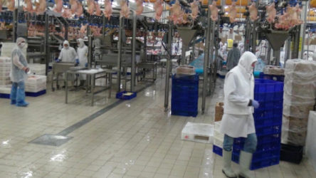 86 işçinin koronavirüse yakalandığı Gedik Piliç'te üretim sürüyor