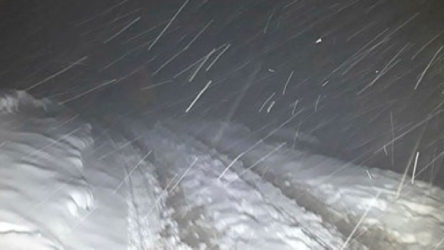 Çorum'da tipi ve kar yağışı nedeniyle 45 hayvan donarak öldü