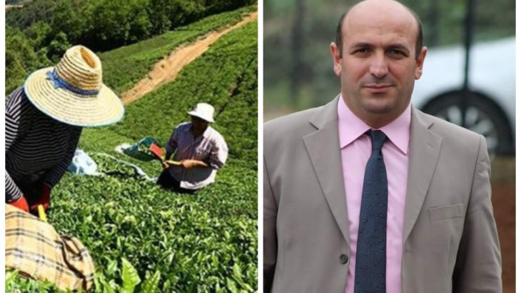 Trabzon'da çay toplarken yılan tarafından ısırılan öğretmen hayatını kaybetti