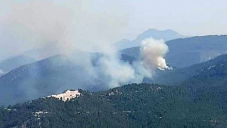 Burdur Bucak'ta orman yangını