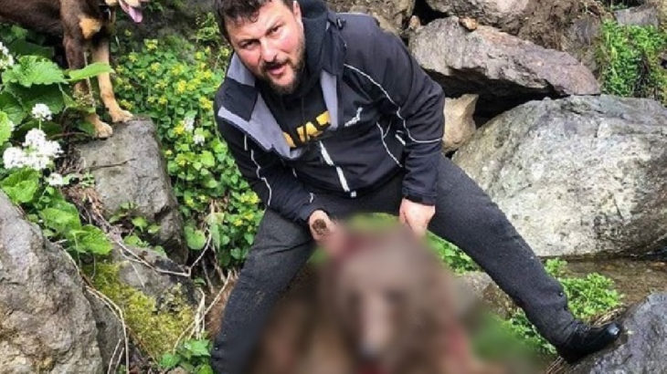 Artvin'de yavru ayıyı vurup köpekleri üzerine salan şahıs yakalandı