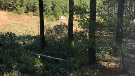 Kestiği ağaç üzerine devrildi: 61 yaşındaki işçi hayatını kaybetti