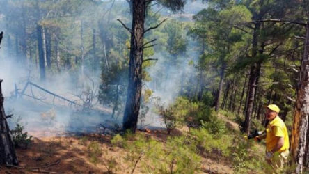 Kütahya'da 2 günde 6 orman yangını çıktı: Nedeni belli oldu