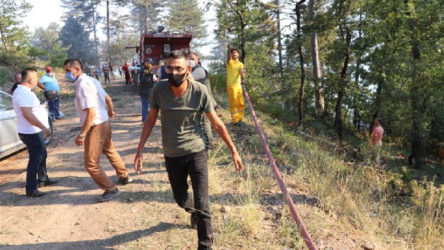 Zonguldak Devrek'te orman yangını: 100 dönüm alan etkilendi