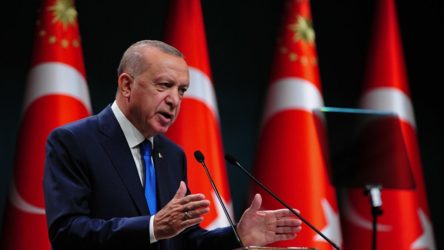 Erdoğan'ın 'Türkiye modeli': Böylesine samimi bir demokrasi ideali bulamazsınız