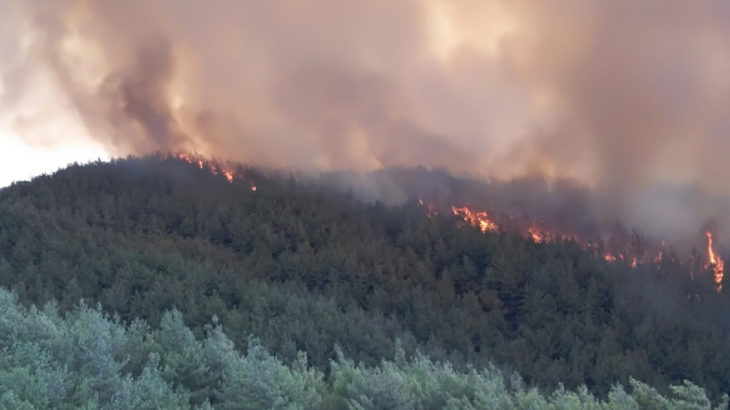 Hatay’daki orman yangını sürüyor
