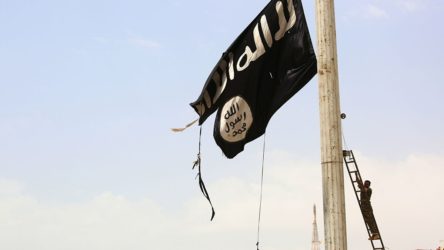 Şanlıurfa Valiliği, Macron karşıtı gösteride IŞİD bayrağı açılmasıyla ilgili bir kişinin gözaltına alındığını duyurdu