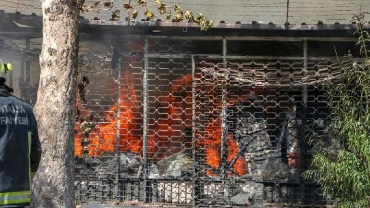 Antalya'da mobilya atölyesinde yangın çıktı