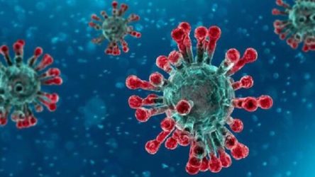 Koronavirüs mutasyonu Meksika'da da görüldü