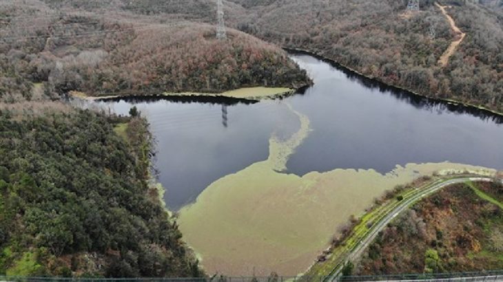 Elmalı barajındaki su seviyesinde düşüş: Baraj suyu yeşile büründü