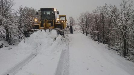 Adıyaman'da kar yağışı nedeniyle 112 yerleşim yerine ulaşılamıyor