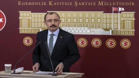AKP'li Mehmet Muş, Özdağ'a düzenlenen saldırıya ilişkin 