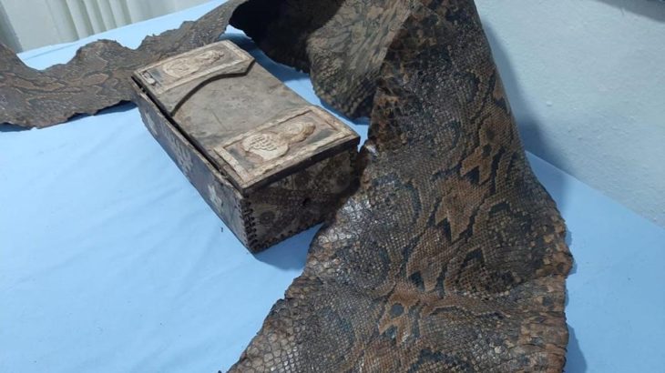Antep'te Orta Çağ'a ait piton derisi ele geçirildi
