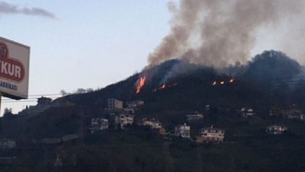 Yangın bölgeleri 'mücbir sebep hali' ilan edildi