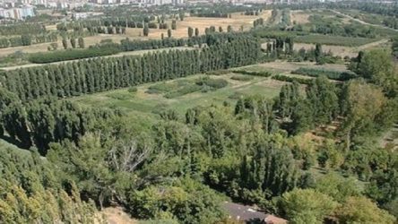 Atatürk Orman Çiftliği'nden geçecek yol yargıya taşınıyor