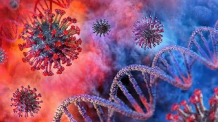 Yeni koronavirüs mutasyonu: 18 türün birleşmesiyle oluşuyor