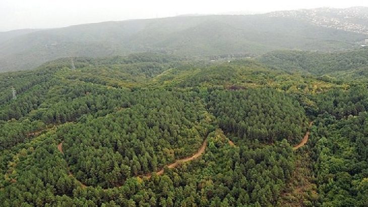 AKP'li Cumhurbaşkanı Erdoğan bazı alanları orman sınırları dışına çıkarttı