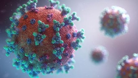 Brezilya'da kökeni bilinmeyen bir koronavirüs türüne rastlandı