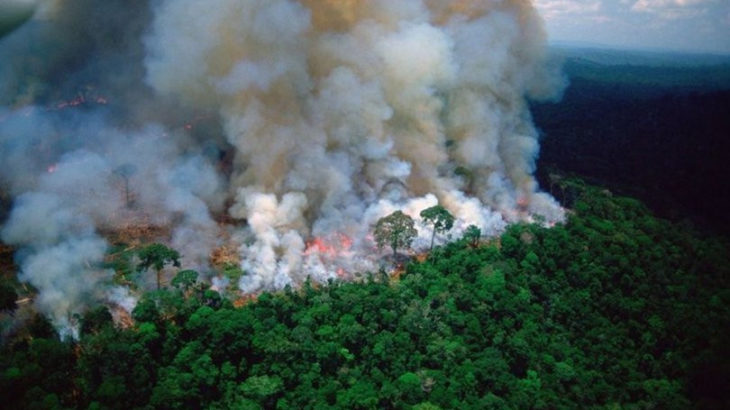 Amazonlar'da son 14 yılın en şiddetli yangınları