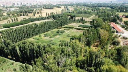 Atatürk Orman Çiftliği'ne yeni kıyım girişimi