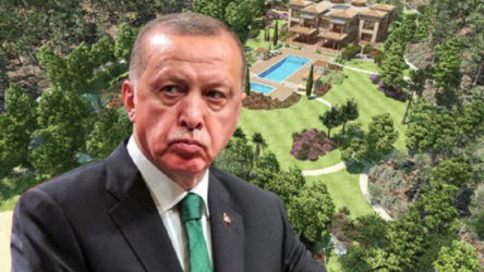 Hilal Kaplan, Erdoğan'ın 300 odalık sarayını 15 Temmuz ile savundu
