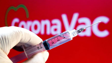 Sinovac aşısının üçüncü dozunun etkisi açıklandı