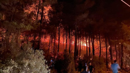 Fethiye Ölüdeniz'de orman yangını