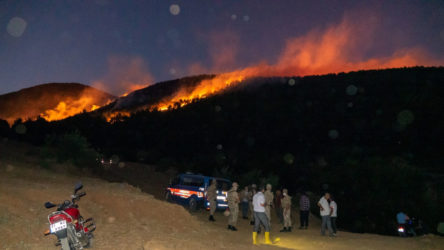 Türkiye felaketi yaşıyor: İki günde 17 ilde 58 orman yangını