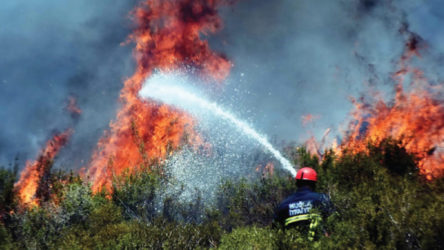 Akdeniz Bölgesi'nde orman yangını