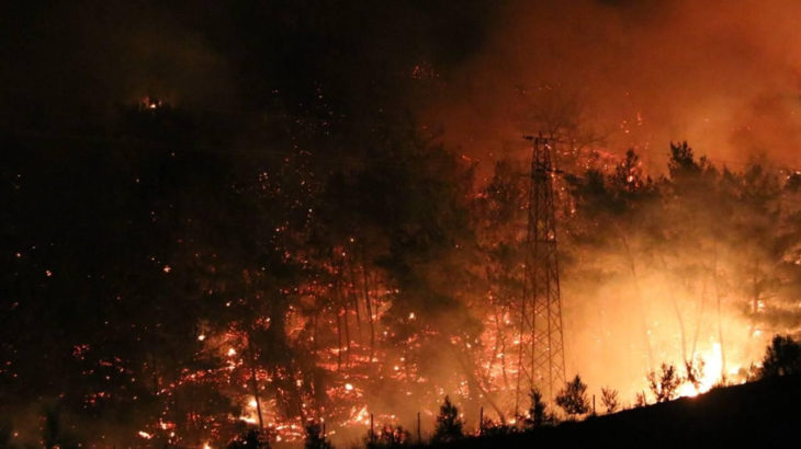 Bilecik'te orman yangını: 1 kişi 'sabotaj' iddiasıyla gözaltında