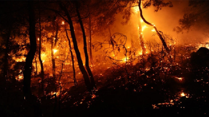 Muğla'da orman yangınının sıçraması nedeniyle 2 mahalle boşaltıldı