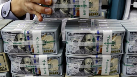 Merkez Bankası verileri açıkladı: Milyarlarca dolar 'kaynağı belirsiz' para girişi