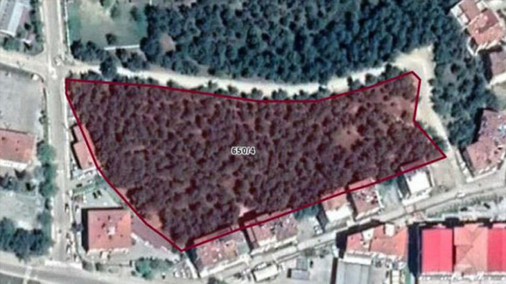 AKP'li belediye, 13 dönümlük ormanlık alanı imara açtı!