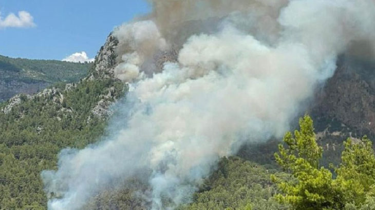 Antalya'nın Alanya ilçesindeki orman yangınları kontrol altına alındı