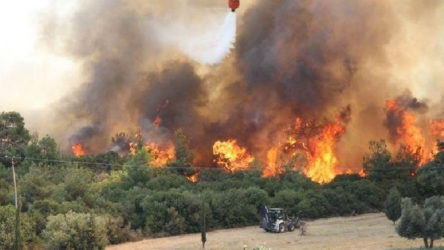Çanakkale Ezine’de aynı bölgede 6. kez orman yangını