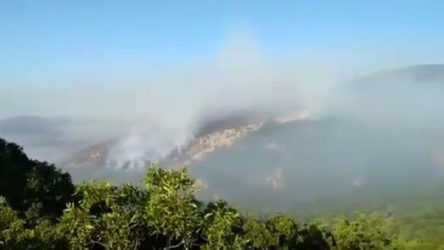 Dersim'de belediye başkanlarının yangın bölgesine gidişine izin verilmedi