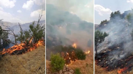 Hakkari'de orman yangını: Günlerdir kontrol altına alınamadı