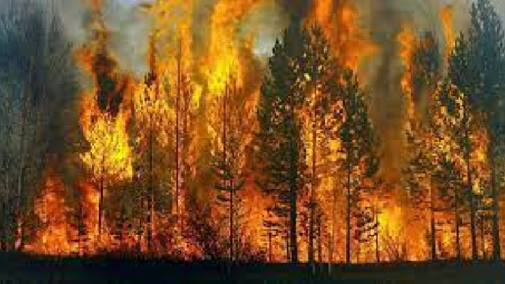 KCK'dan orman yangınları açıklaması: Haberler tamamen yalandır