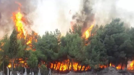İzmir'de çıkan orman yangınına ilişkin açıklama