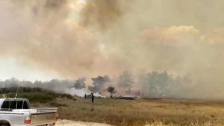 Manavgat'ta yine orman yangını