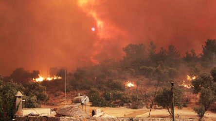 Yangınlar devam ediyor: 14. günündeki Köyceğiz yangını Denizli'ye yaklaştı