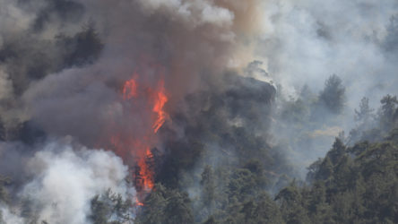 Orman yangını Muğla'dan Aydın'a sıçradı: 3 gündür söndürülemiyor