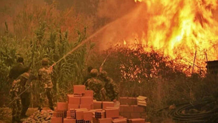 Cezayir'de çıkan orman yangınlarında 28'si asker 69 kişi hayatını kaybetti