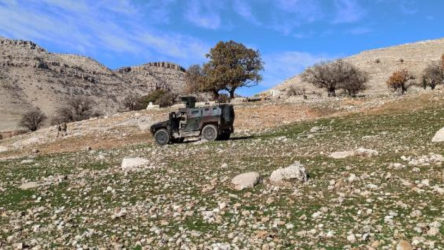 Mardin'in Ömeryan kırsalında sokağa çıkma yasağı ilan edildi