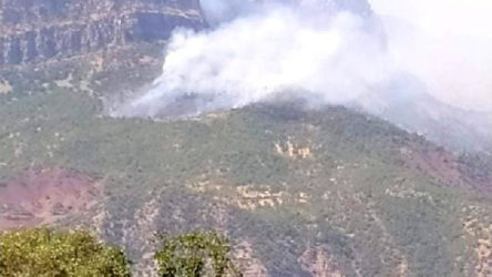 Siirt'in 2 ilçesinde ormanlık alanda yangın çıktı